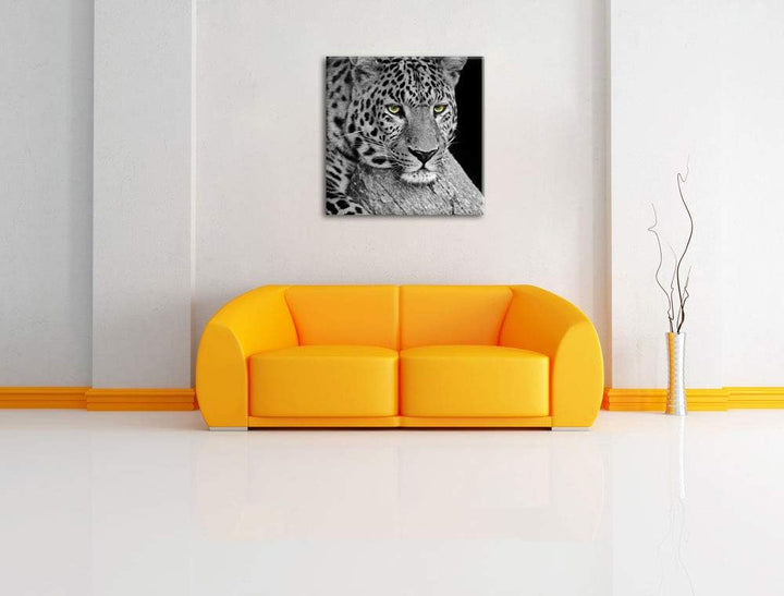 Pixxprint ruhender Leopard als Leinwandbild/Grösse: 70x70 cm/Wandbild/Kunstdruck/fertig bespannt, 70