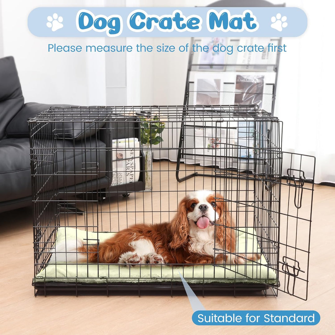 Baodan Waschbar Hundebett Mittelgrosse Hunde - 90x60 cm Hundekissen flauschig Hundedecke rutschfest