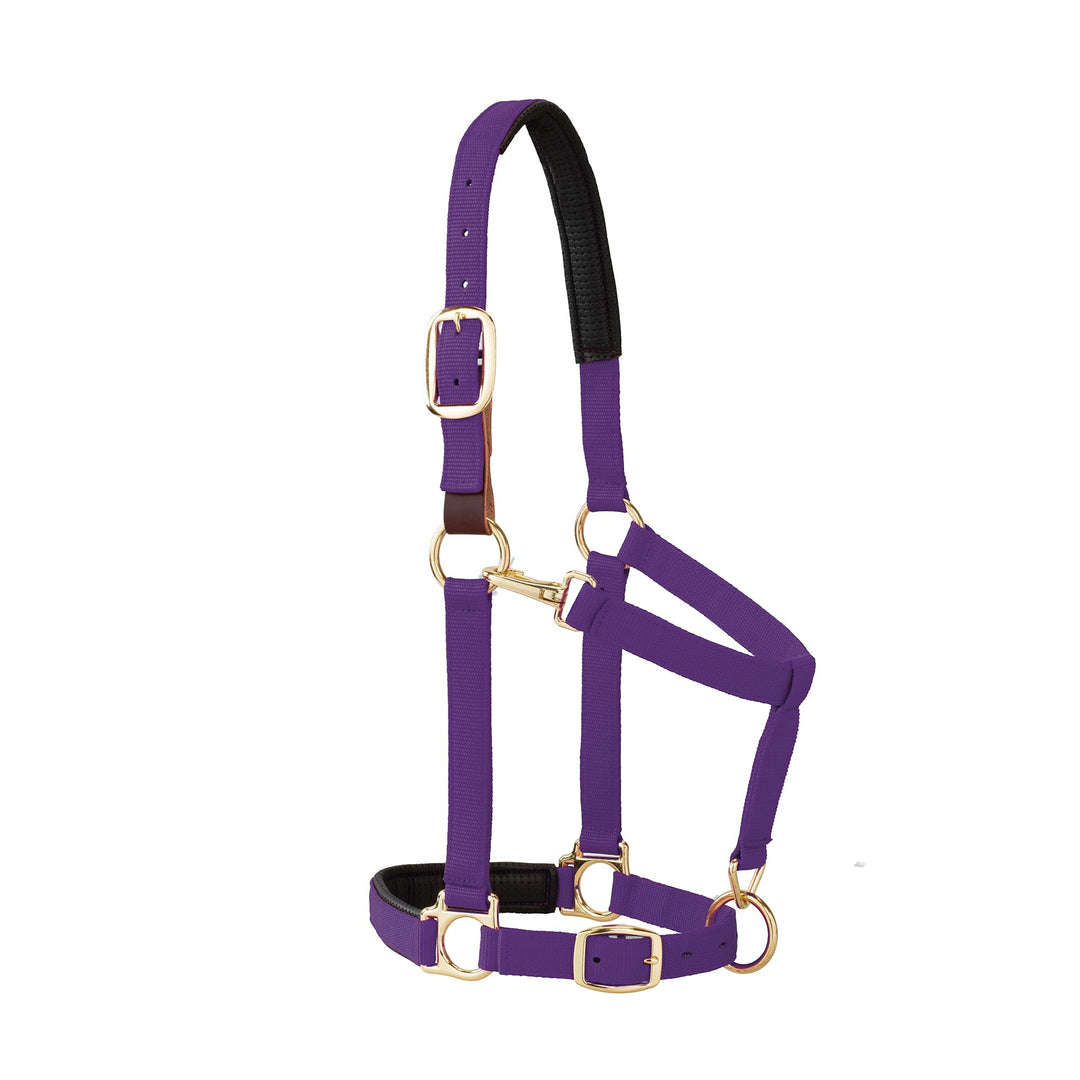 Weaver Leather Kinn- und Halfter, gepolstert, verstellbar, 2,5 cm, Durchschnittlicher Zugluft für Pf