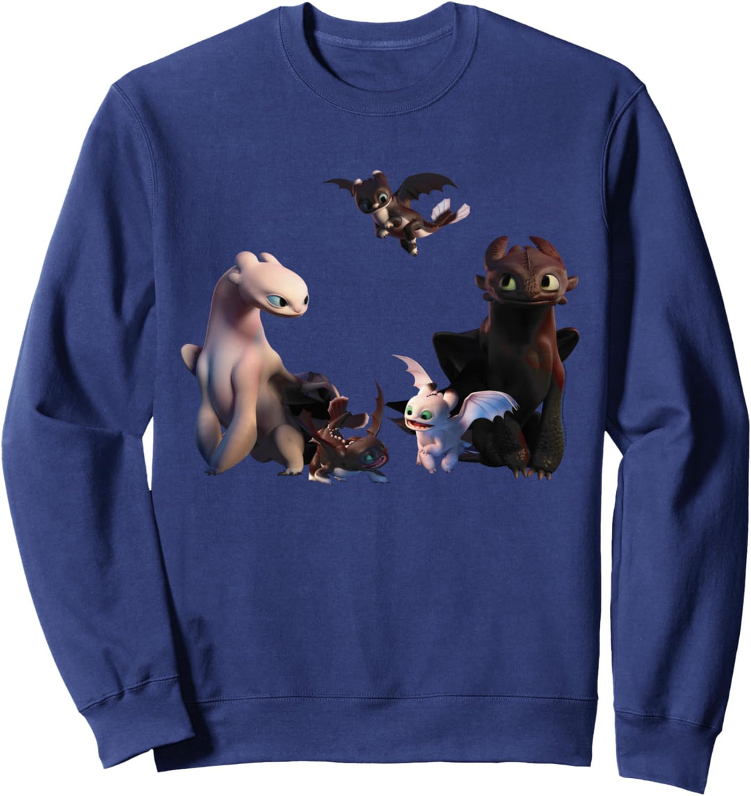 Drachenzähmen Leicht Gemacht 3 Nachtwut Familie Sweatshirt