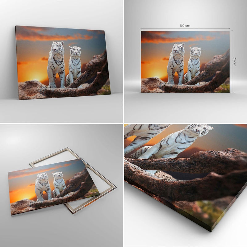 Bilder auf Leinwand 100x70cm Leinwandbild Tiger weiss Rock Sonnenuntergang Gross Wanddeko Bild Schla