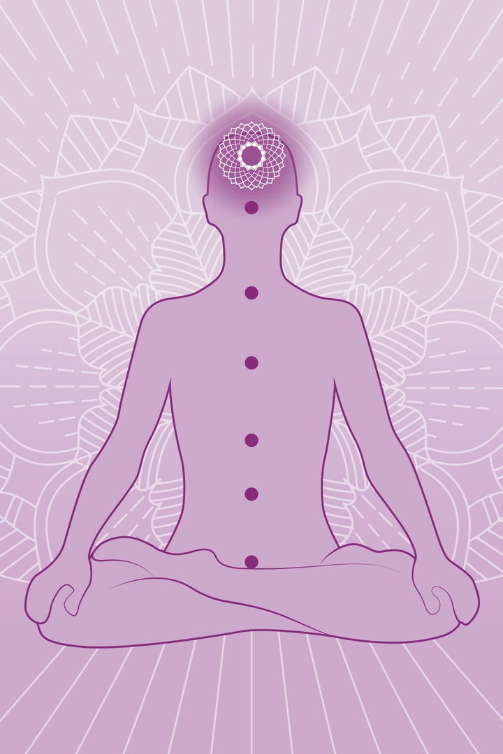 khadi SHATAVARI EVERYOUNG Ayurvedisches Elixier Skin & Soul Oil, Intensives Anti-Aging-Öl, strafft,