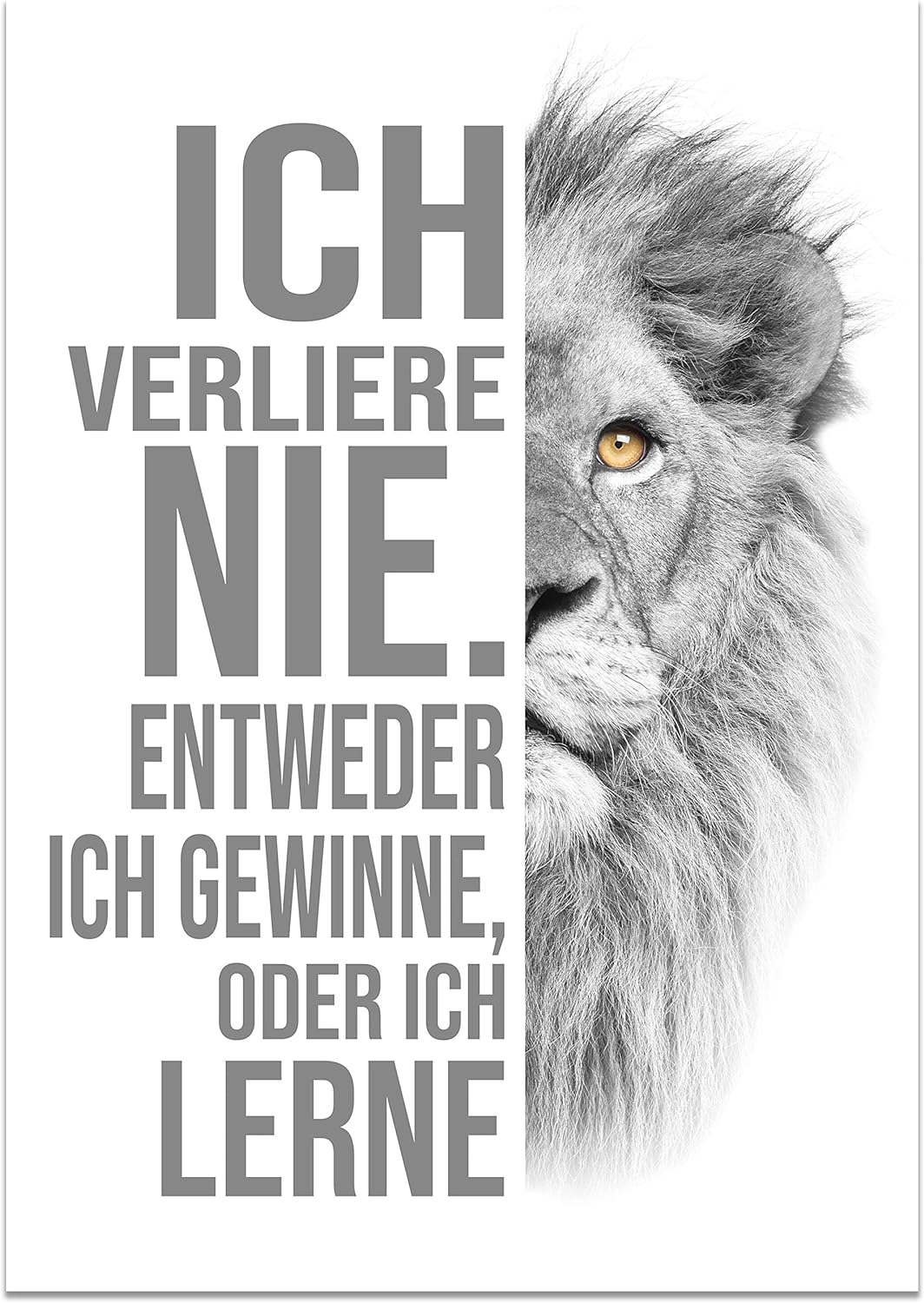 wandmotiv24 Poster als Wanddeko, Grösse Din A1, ich verliere nie, Weiss, Löwe, Moderne Wanddeko, Wan