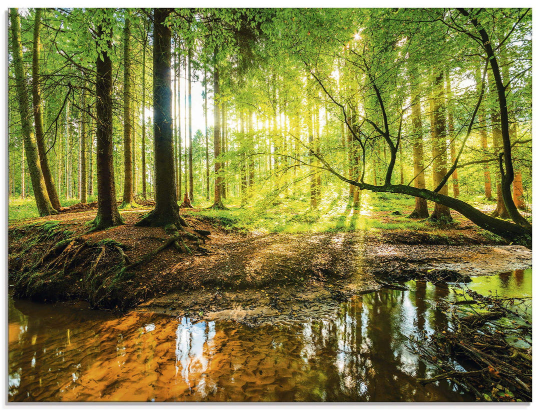 Glasbilder Wandbild Glas Bild einteilig 60x45 cm Querformat Wald Natur Landschaft Bäume Bach Sonne F