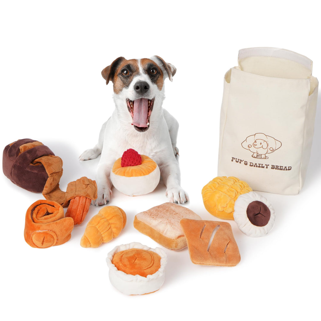 Nocciola 10 Stück Brot-Hundespielzeug mit Tragetasche, quietschendes, langlebiges Hundespielzeug geg