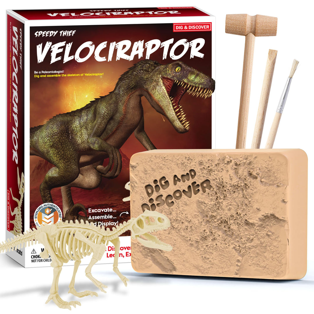 Velociraptor Dino Ausgrabungsset für Kinder - Velociraptor Skelett aus und baue es zusammen, Werde P