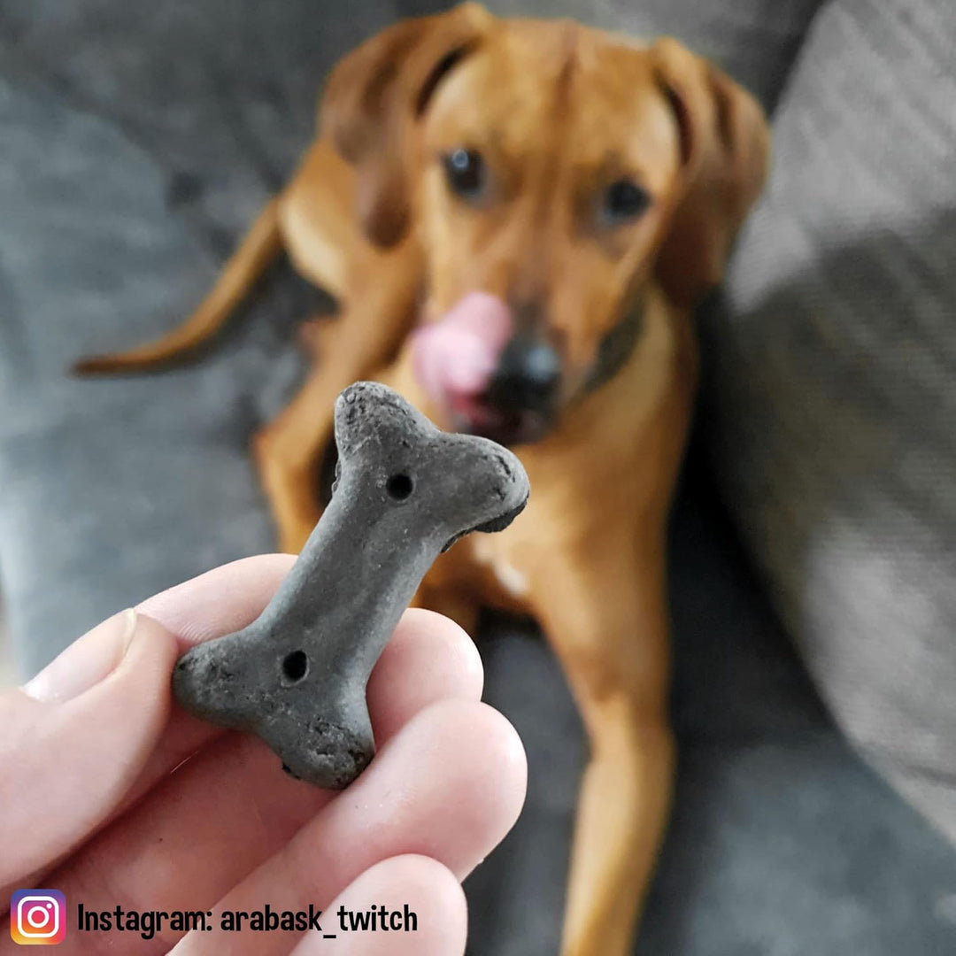 Schecker Hundesnack Digestiva mit Futterkohle - Hundekekse -bei leichten Verdauungsproblemen wie Blä