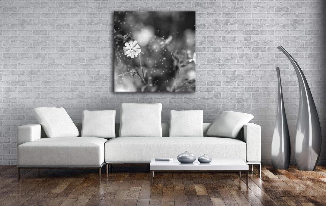 deyoli Rosa Blumen Format: 60x60 Effekt: Schwarz&Weiss als Leinwandbild, Motiv fertig gerahmt auf Ec
