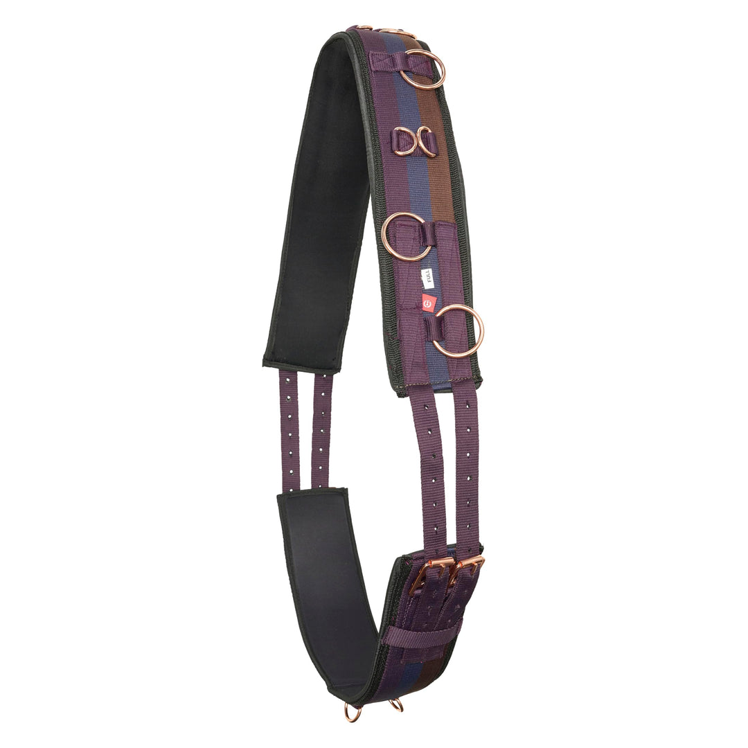 IMPERIAL RIDING Longiergurt Deluxe Extra