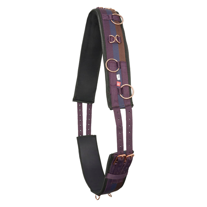 IMPERIAL RIDING Longiergurt Deluxe Extra