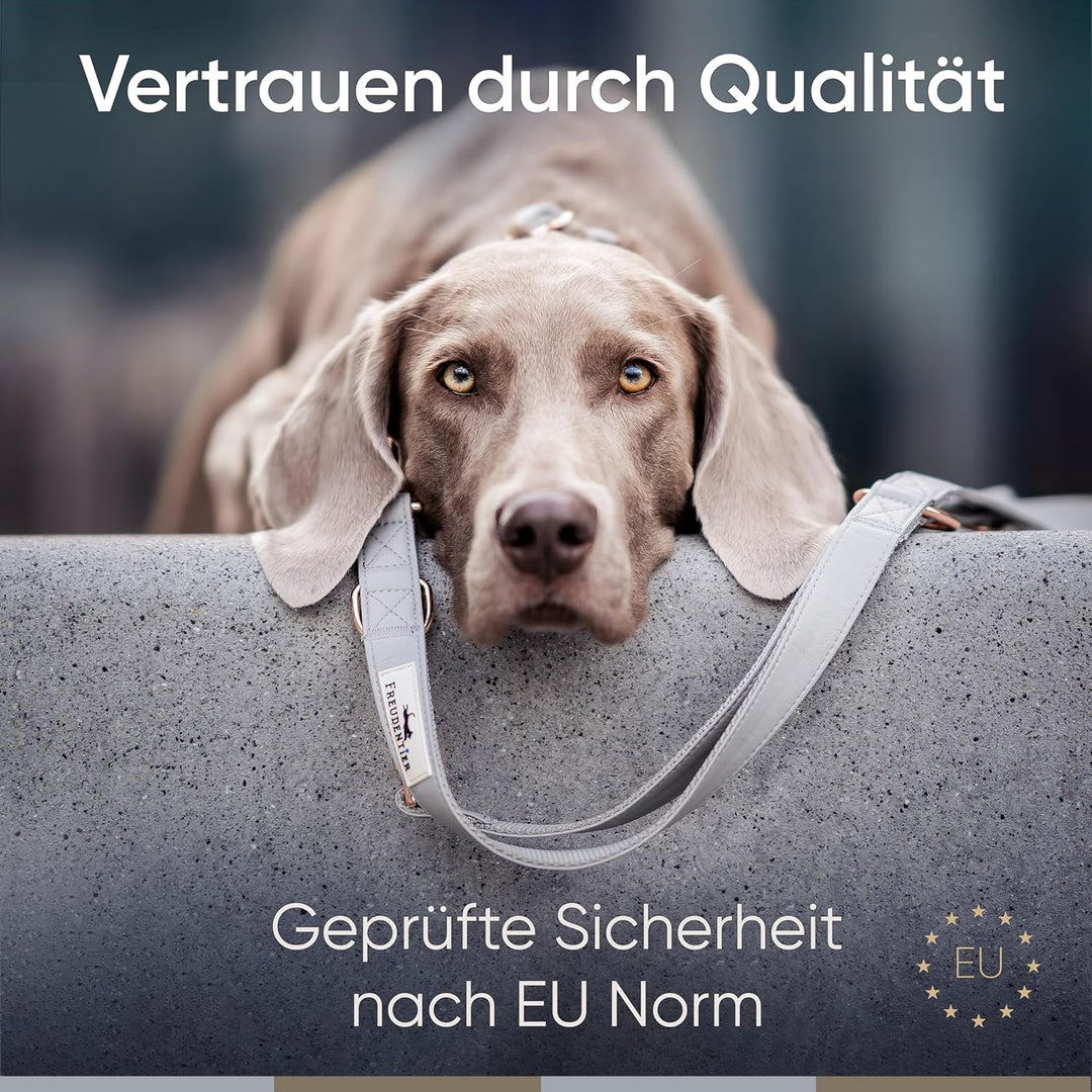 FREUDENTIER® Hundehalsband und Hundeleine (2m) aus veganem Leder im Set - Stilvoll und robust - Für