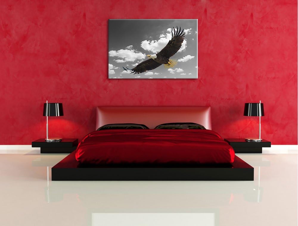 prächtiger Weisskopfseeadler beim fliegen schwarz/weiss Format: 100x70 auf Leinwand, XXL riesige Bil