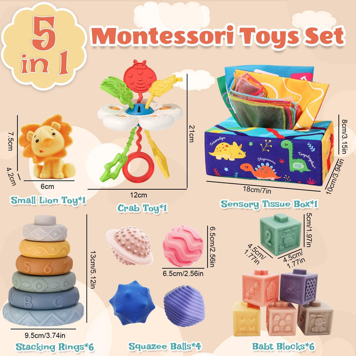 5 in 1 Baby Spielzeug ab 6 Monate, Montessori Spielzeug ab 6 9 12 Monate, Stapelturm, Blöcken,Tissue