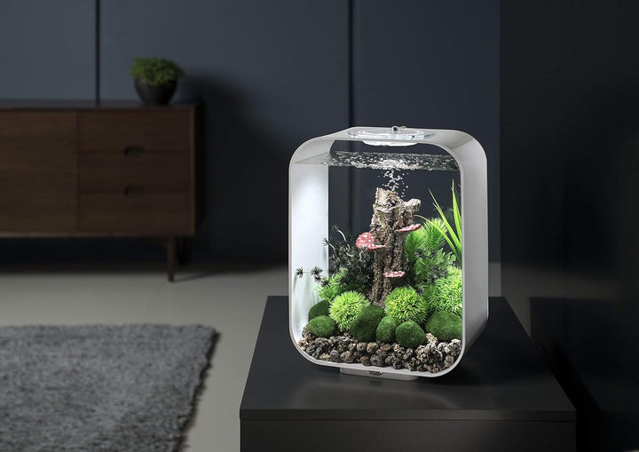 biOrb 72049 LIFE 15 LED weiss - dekoratives 15 Liter Aquarium-Komplett-Set mit Filtersystem, LED-Bel