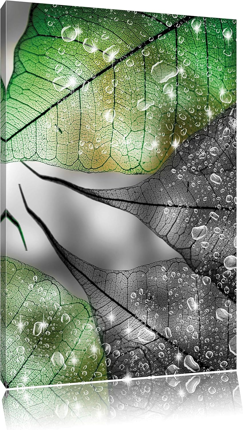 Pixxprint grüne Blätter mit Wassertropfen schwarz/weiss, Format: 70x100 auf hochkantiges Leinwand, 7
