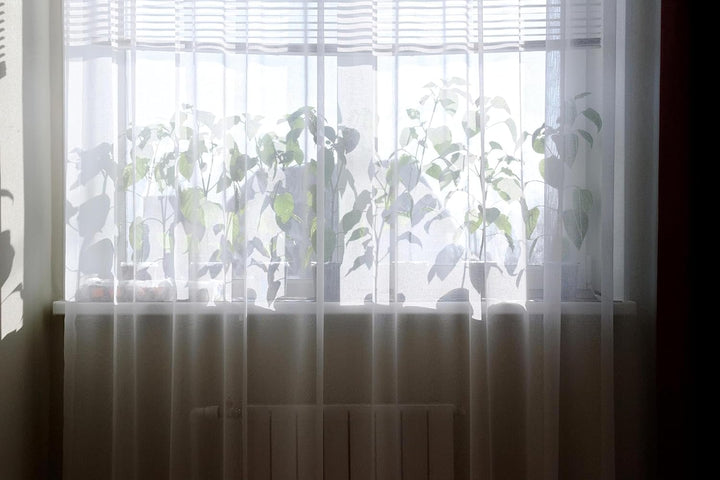 Weisse Voile, halbtransparente Vorhänge mit Kräuselband und Bleibandabschluss,Luftig, modern und lan