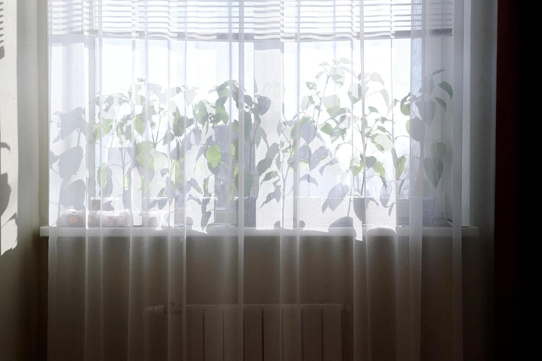 Weisse Voile, halbtransparente Vorhänge mit Kräuselband und Bleibandabschluss,Luftig, modern und lan