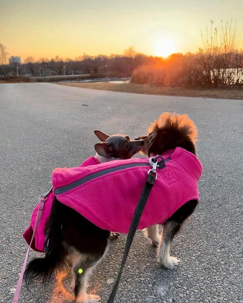 Gooby Zip Up Fleece-Weste für kleine Hunde rose L, rose L