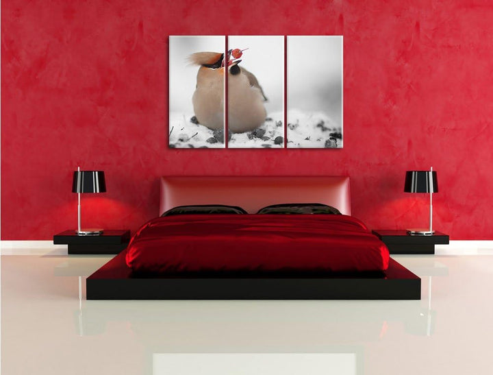 Pixxprint Kleiner Vogel im Schnee Schwarz/Weiss 3-Teiler Leinwandbild 120x80 Bild auf Leinwand