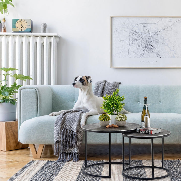 casamia Couchtisch Carlton Metall rund 2er ø55u.45cm Beistelltisch Set