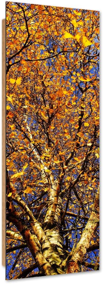 Dekobild Herbst Deko Wand Kunstdruck Baum Braun 50x150 cm M14623 50x150 cm, M14623 50x150 cm