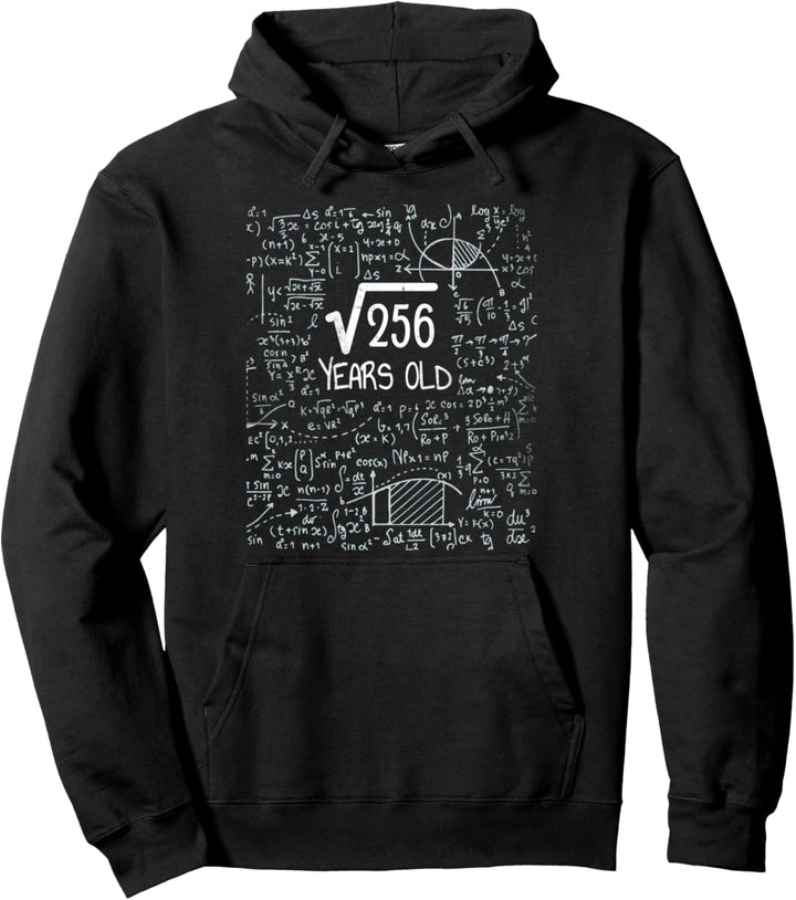 Lustige Mathematik 16. Geburtstag Quadratwurzel von 256 16 Jahren alt Pullover Hoodie
