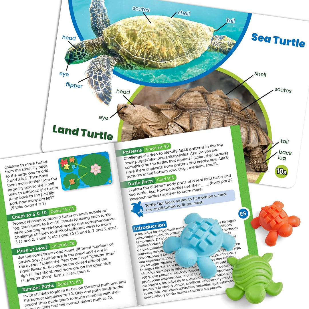 Learning Resources Mathe-Aktivitätsset Taktile Schildkröten, Zahlen lernen für Kleinkinder, Mathe-Zä