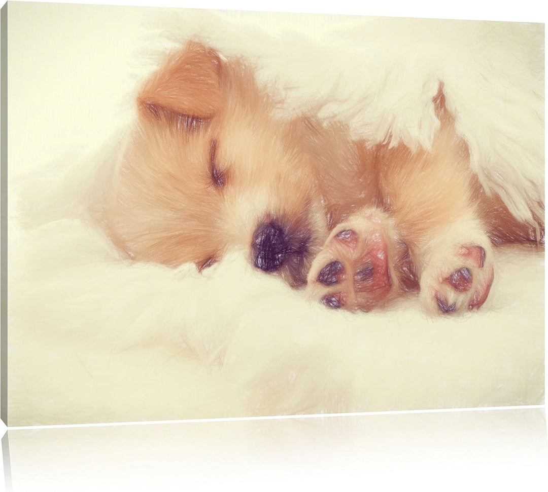 Pixxprint Kleiner schlafender Welpe als Leinwandbild/Grösse: 100x70 cm/Wandbild/Kunstdruck/fertig be
