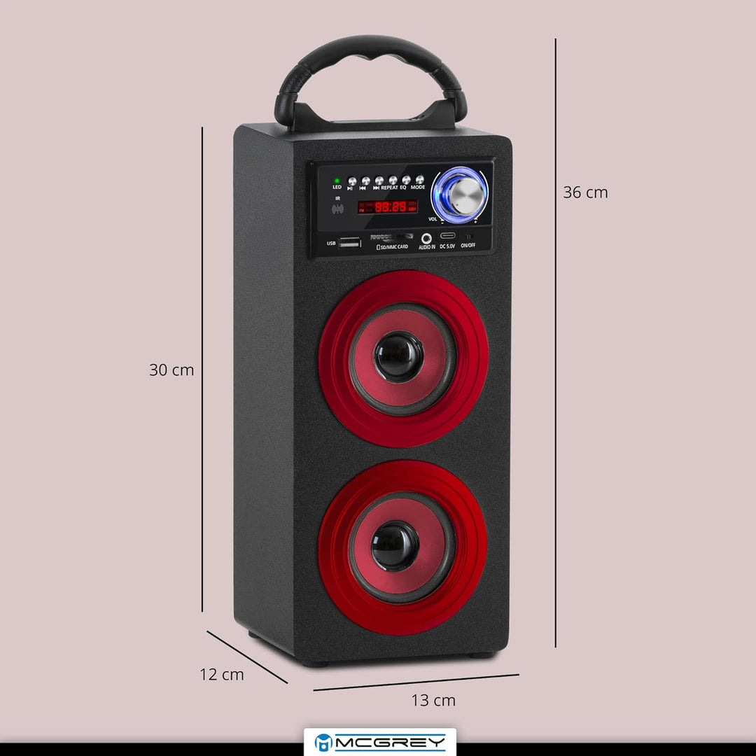 McGrey BS-20 Beachside Bluetooth Akku-Lautsprecher - Tragbare Musikbox mit Bluetooth, FM-Radio, USB/