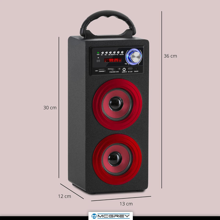 McGrey BS-20 Beachside Bluetooth Akku-Lautsprecher - Tragbare Musikbox mit Bluetooth, FM-Radio, USB/