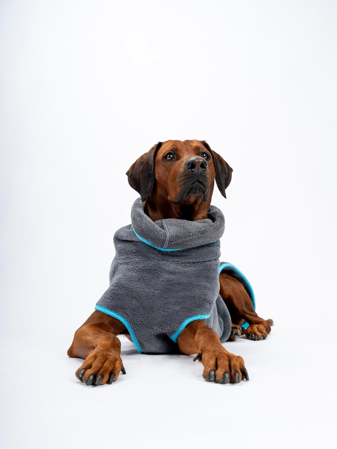 TrendPet Dampfhund Premium Bademantel für Hunde, Supersaugfähig und in 11 Grössen verfügbar - Passen