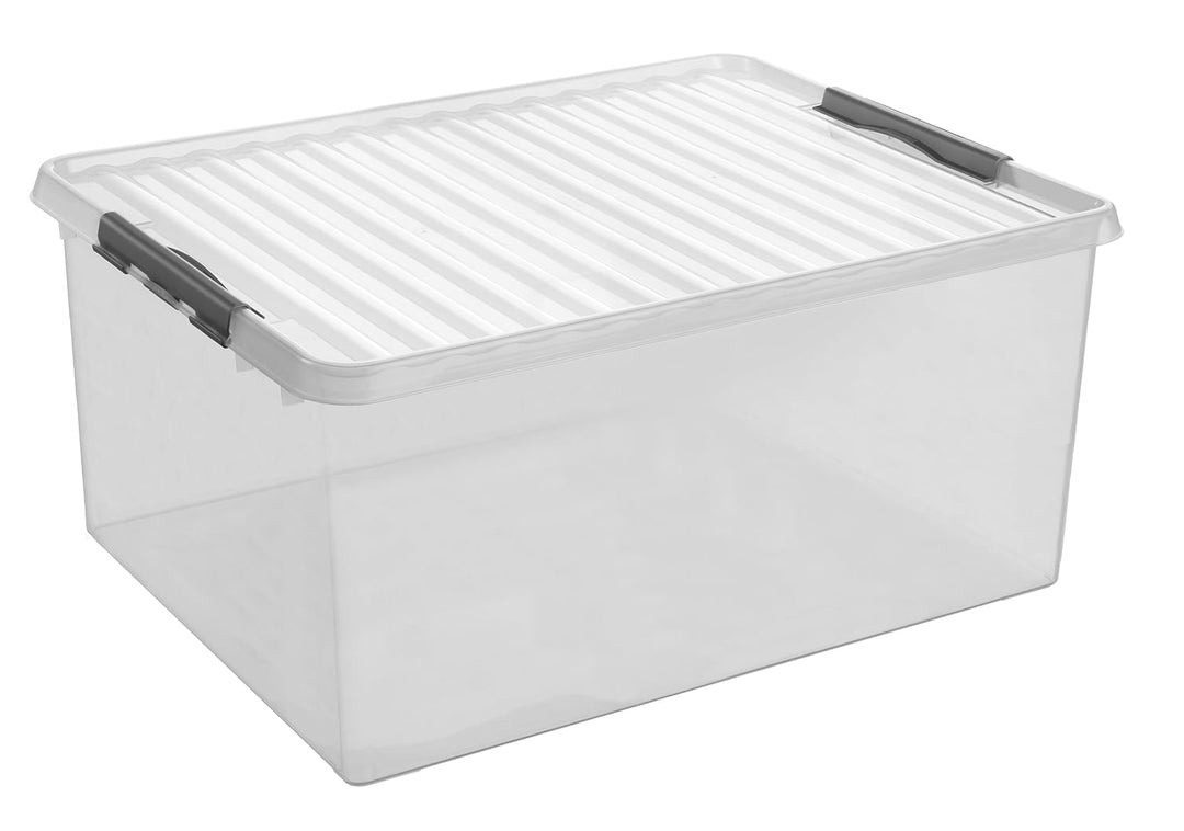 Sunware Box, Plastik, Transparent Metallic, Einheitsgrösse
