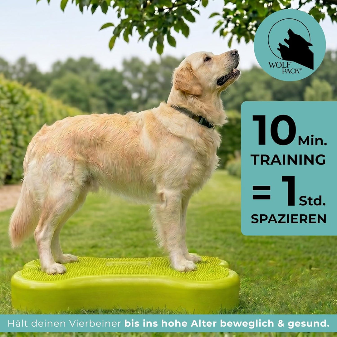 Wolfpack® Fitness Dog Bone – Balance Pad &amp; Physio Wackelkissen für kleine &amp; grosse Hunde – krallenfe