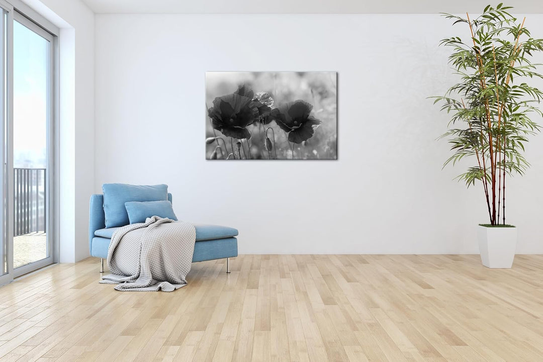deyoli bezaubernde Mohnblumen Format: 80x60 Effekt: Schwarz&Weiss als Leinwandbild, Motiv fertig ger