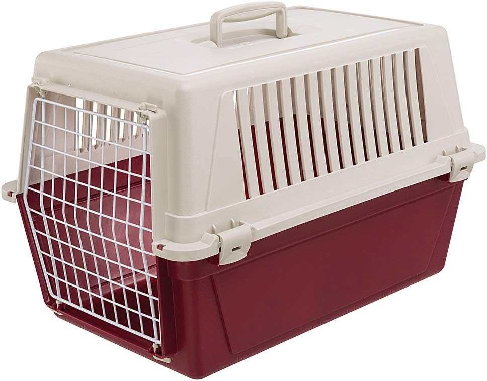 Ferplast Transportbox für Haustiere Hundebox für kleine Hunde und Katzen Atlas 30 EL, Transportbox f