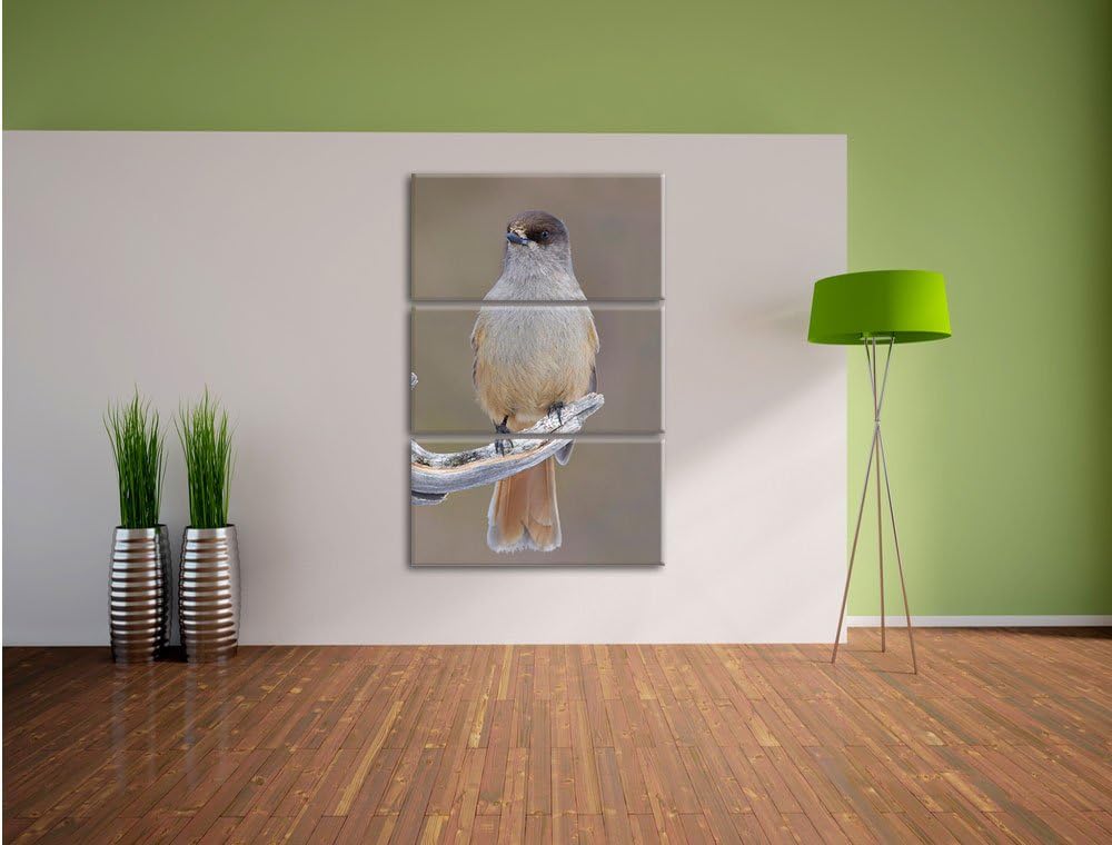 Pixxprint Kleiner Vogel auf AST als Leinwandbild/Grösse: 3 Teilig (120x80) cm/Wandbild/Kunstdruck/fe