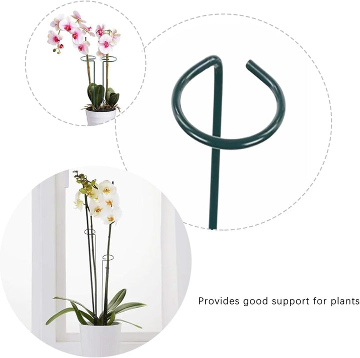 10 Stücke Staudenhalter, Strauchstütze, Blumenstütze, Metall Garten Stützring, Pflanzenhalter Ringkä