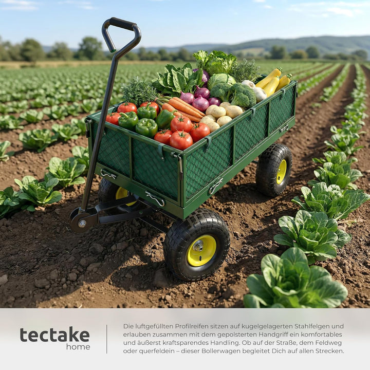 tectake® Bollerwagen, Handwagen mit Seitenwand klappbar, Transportwagen für Strand, Rollwagen für Ga