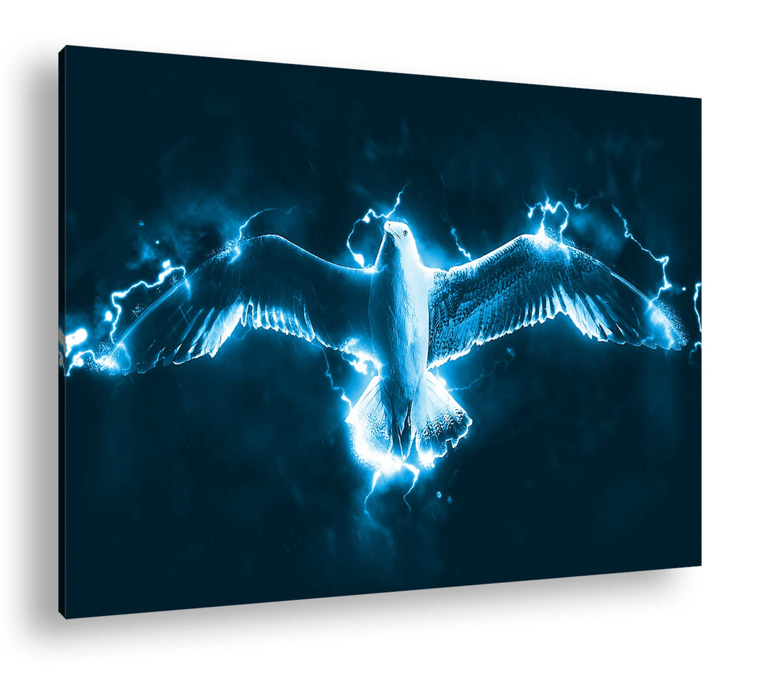 deyoli fliegende Taube unter Strom Format 80x60 Effekt: Monocrome Blau als Leinwandbild, Motiv ferti
