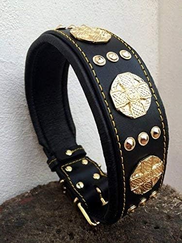 Bestia "Maximus'' Echtleder Hundehalsband für grosse Hunde. 100% Leder. Weich Gepolstert XL- 57.5 bi