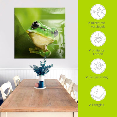 ARTland Glasbilder Wandbild Glas Bild einteilig 60x30 cm Querformat Natur Tiere Frosch Gesicht Laubf