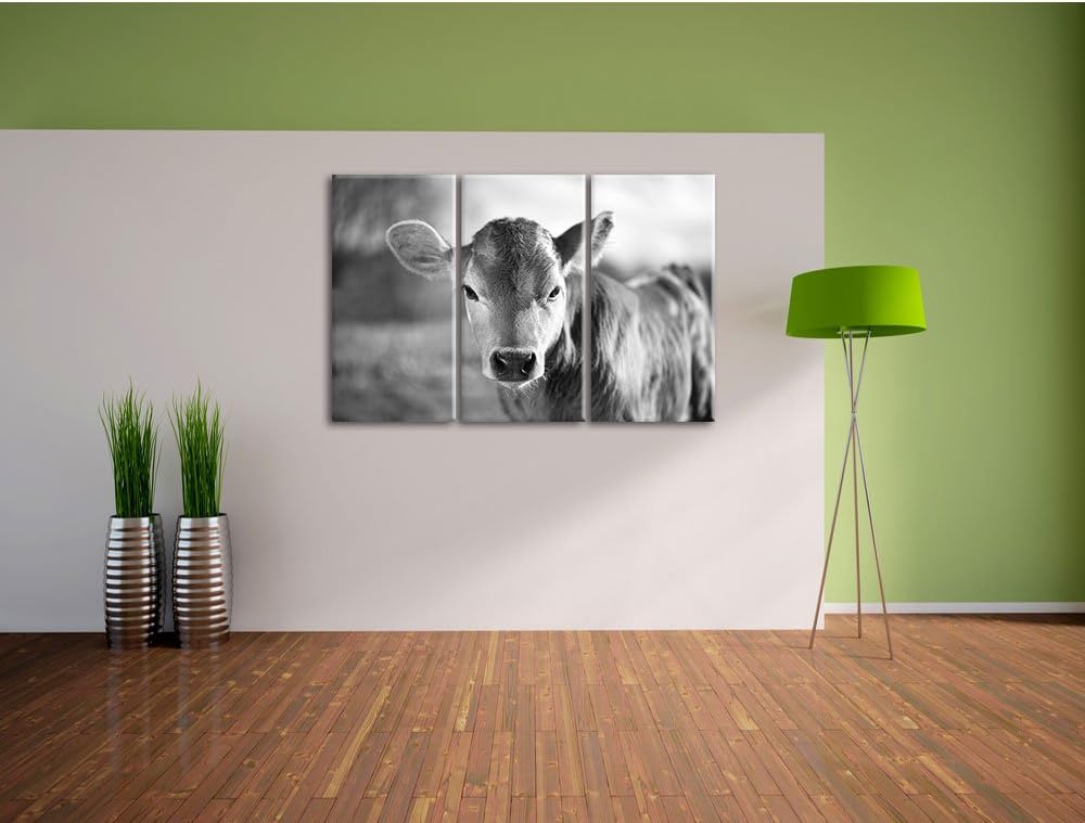 Pixxprint Junge Kuh Kälbchen Kunst B&W als Leinwandbild/Grösse: 3 Teilig (120x80) cm/Wandbild/Kunstd
