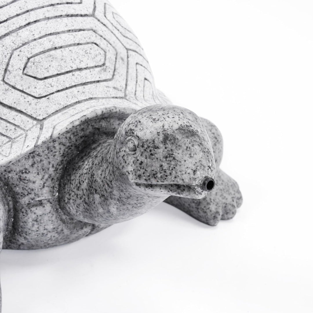 Esotec Solar Wasserspeier Set Schildkröte, Solarpumpe, Teichfigur Gartenfigur & Gartenstatue, Tauchp