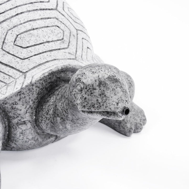 Esotec Solar Wasserspeier Set Schildkröte, Solarpumpe, Teichfigur Gartenfigur & Gartenstatue, Tauchp