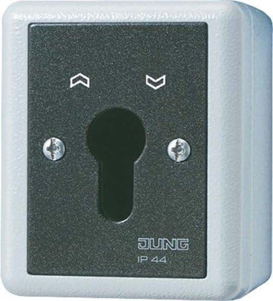 Jung SCHLUESSEL-SCHALTER 10A250V 806.28 G