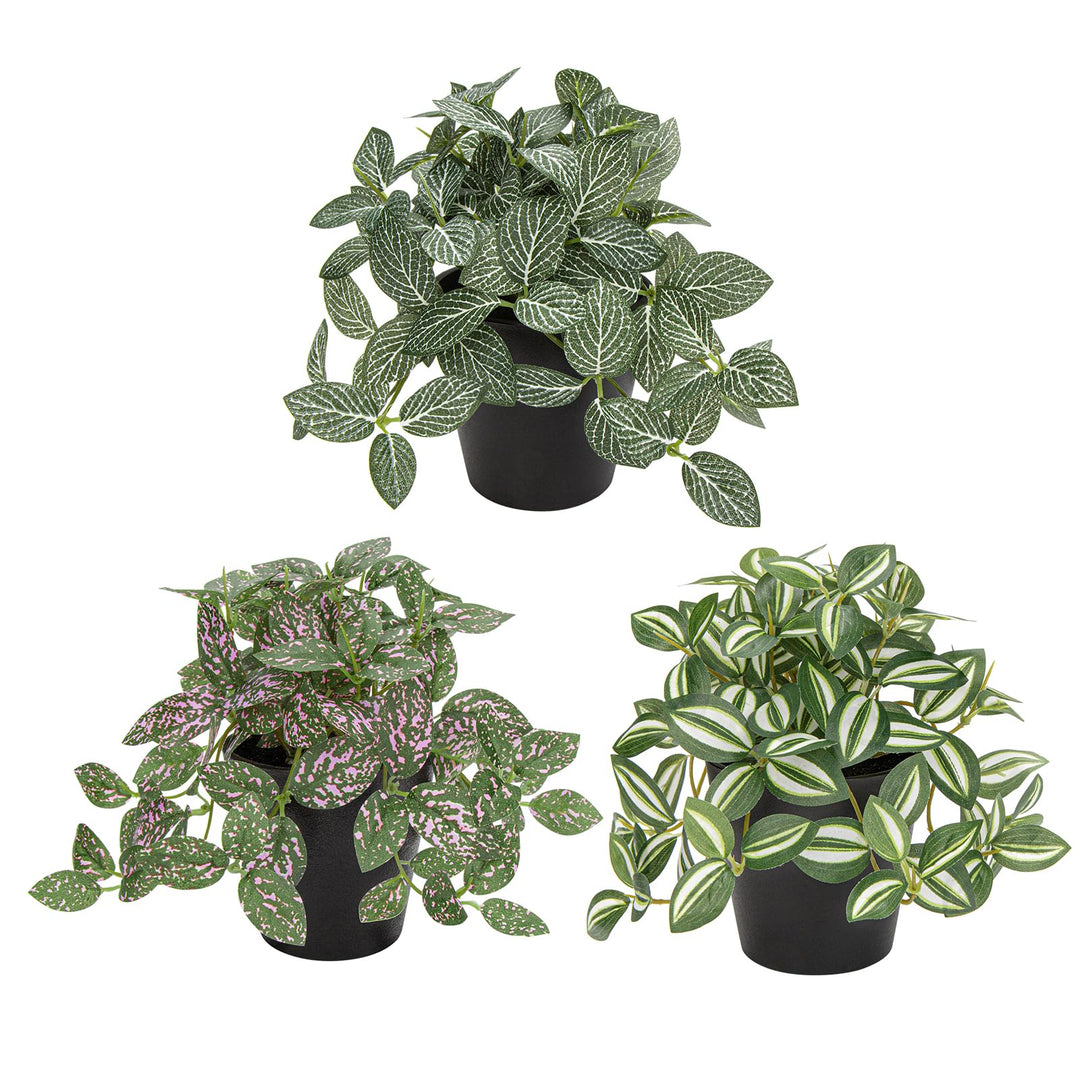 Oairse 3er-Set Künstliche Pflanzen Mini Kunstpflanze Deko Modern Künstliche Pflanzen Hängend Zimmerp