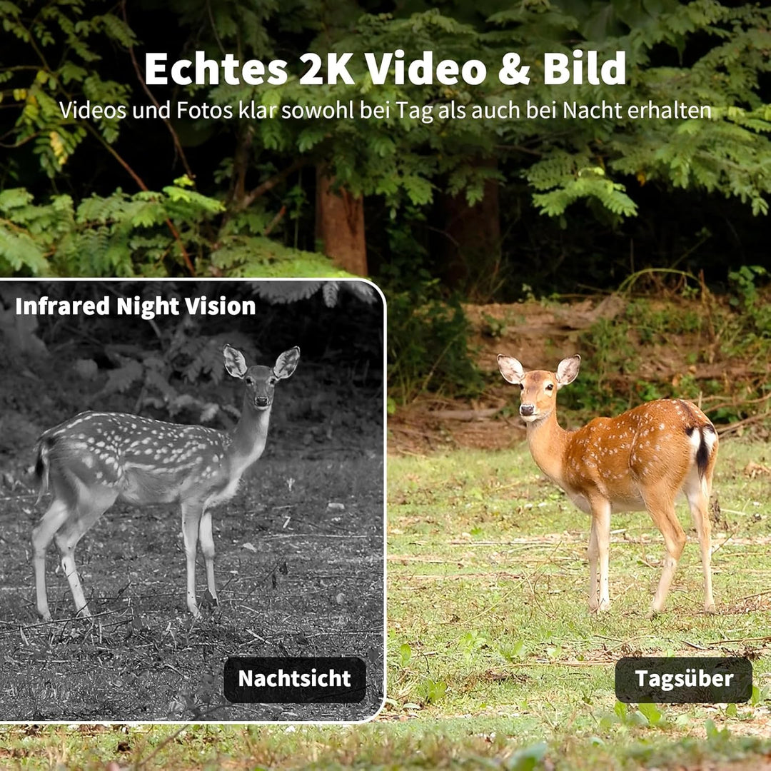 4G LTE Wildkamera mit SIM Karte, 2K Solar Wildtierkamera mit Handyübertragung App, Kabellos Überwach