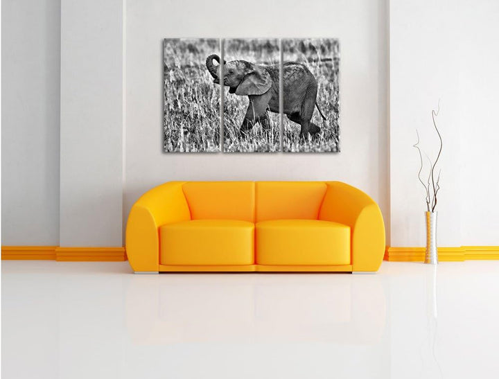 Pixxprint kleines Elefantenjunges als Leinwandbild/Grösse: 3 Teilig (120x80) cm/Wandbild/Kunstdruck/