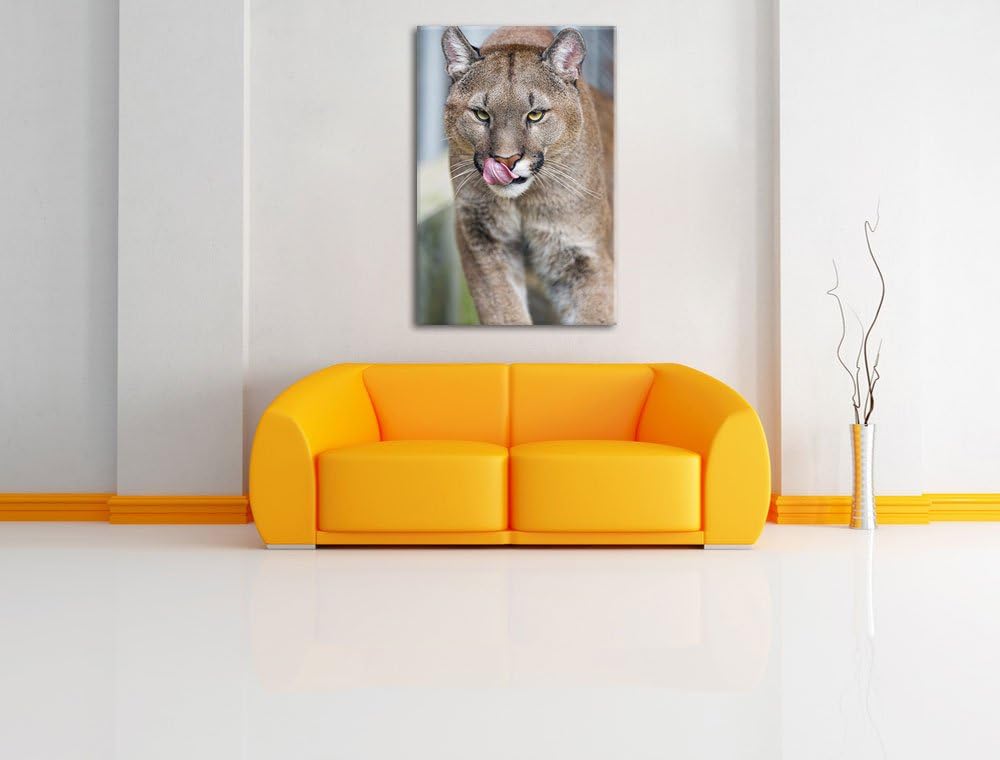 Pixxprint anmutiger Puma auf Leinwand, XXL riesige Bilder fertig gerahmt mit Keilrahmen, Kunstdruck
