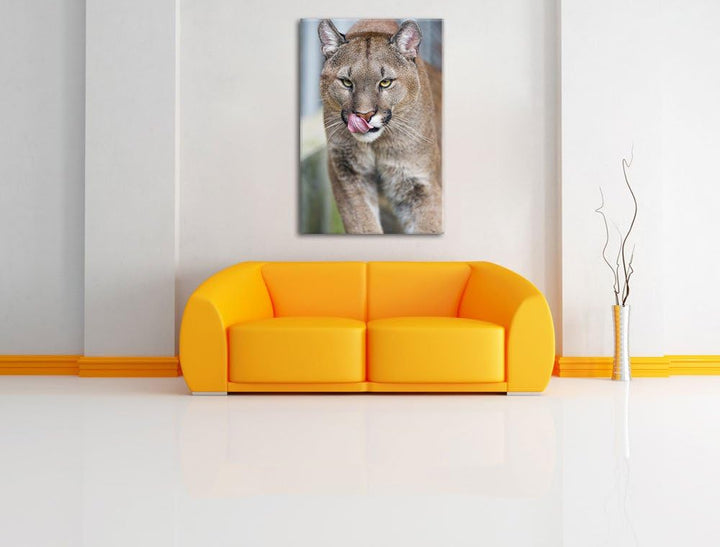 Pixxprint anmutiger Puma auf Leinwand, XXL riesige Bilder fertig gerahmt mit Keilrahmen, Kunstdruck